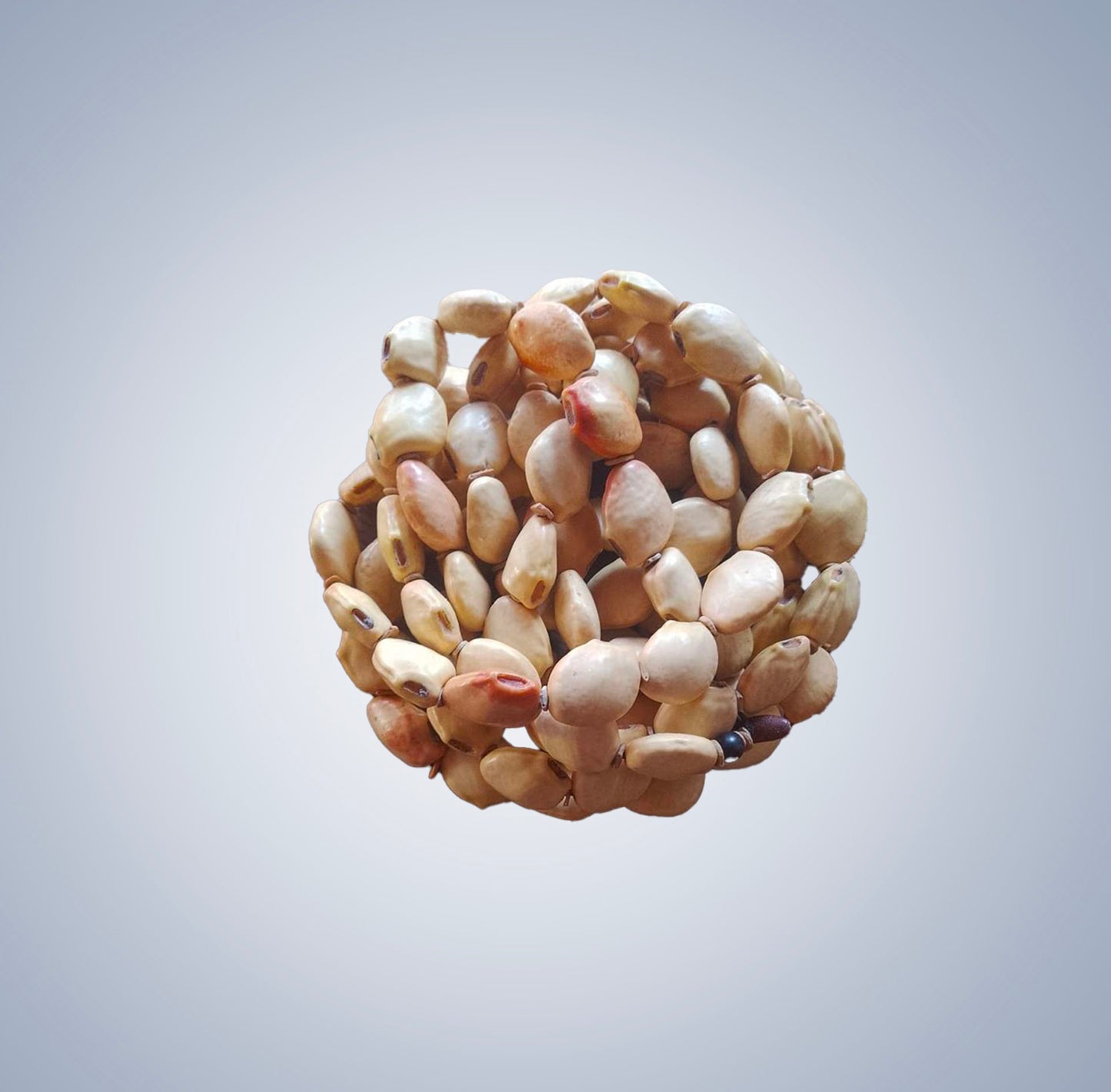 Piranheira seed necklace, long