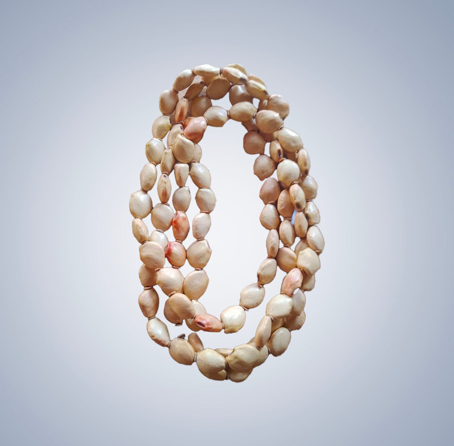 Piranheira seed necklace, long