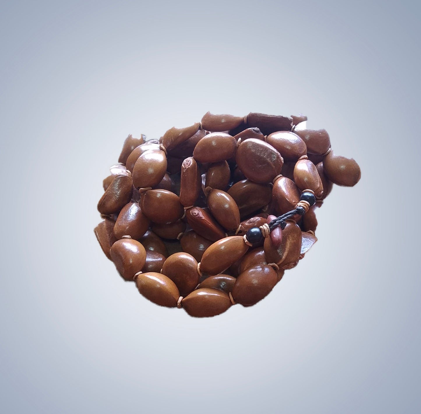 Apricot seed necklace