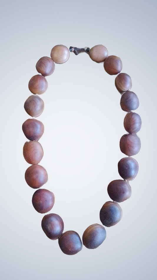 Bull's eye seed necklace