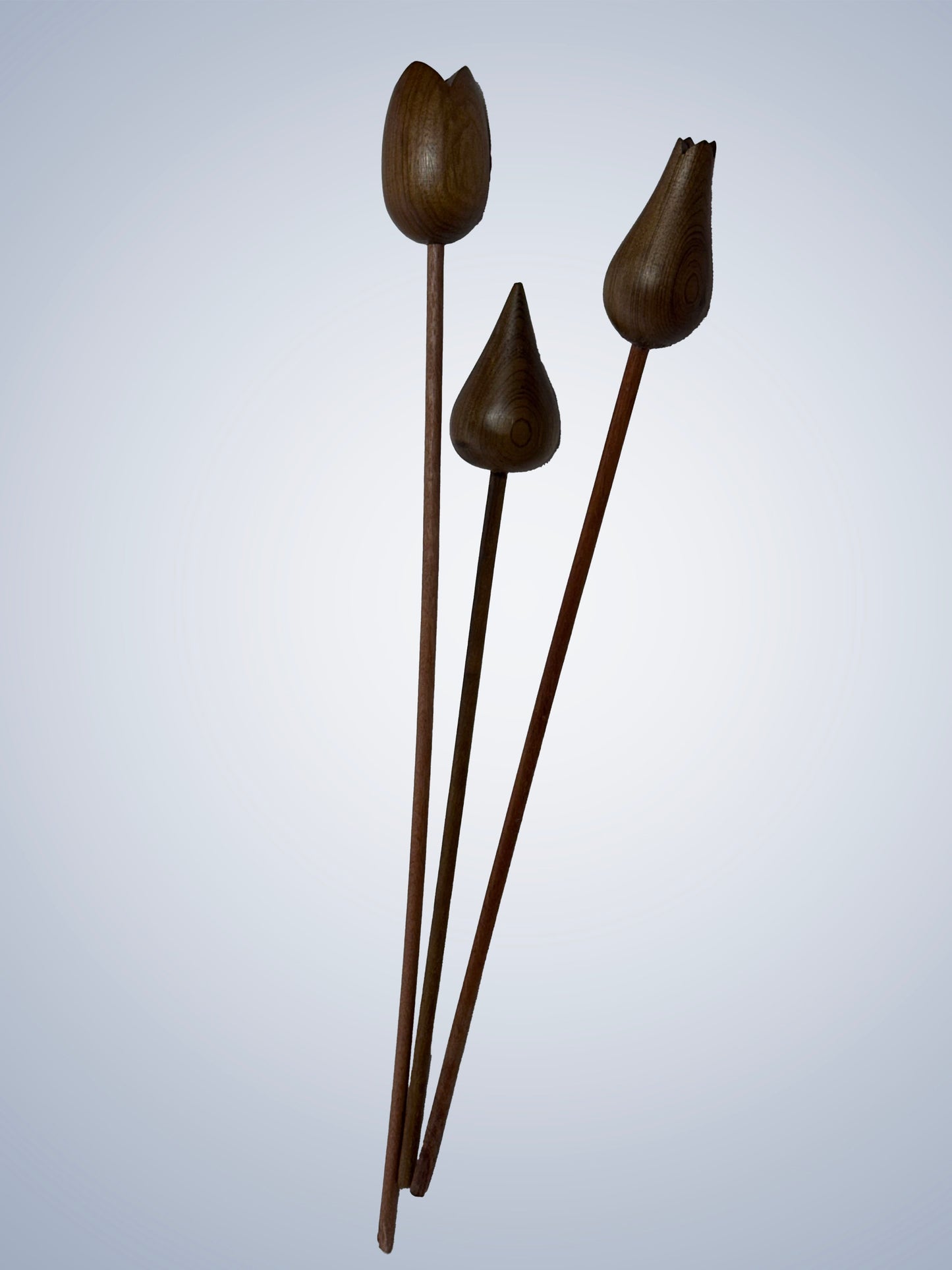 Wood Flowers