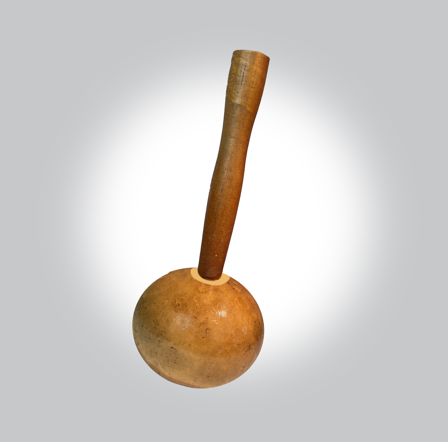 gourd maraca