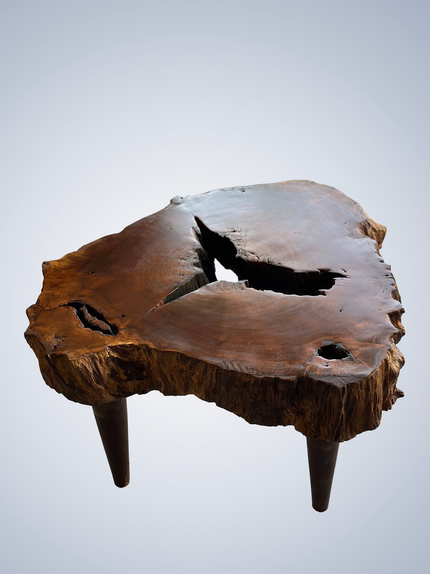 Low table, imbuia root