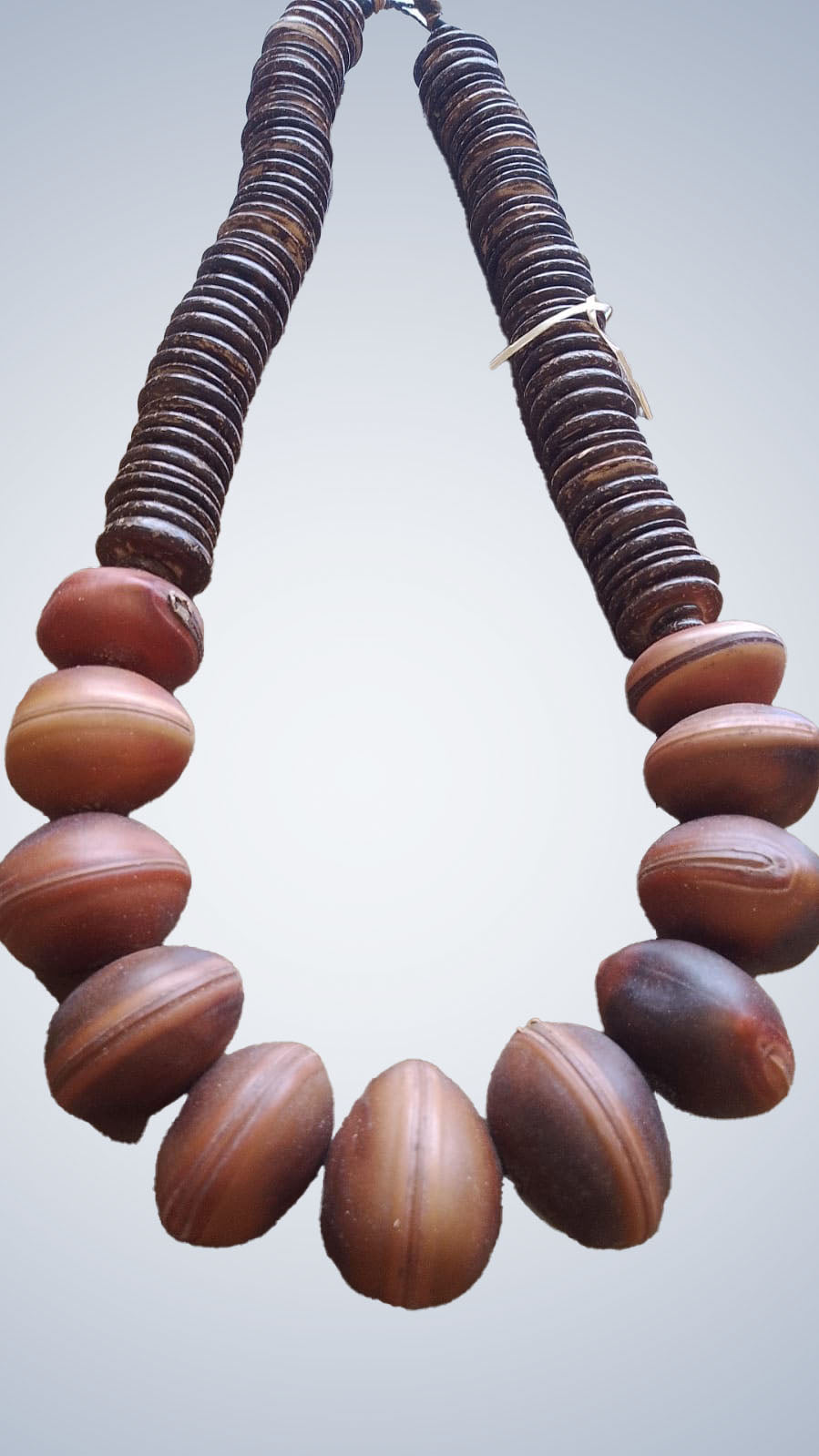 Bull's eye seed and coconut shell necklace