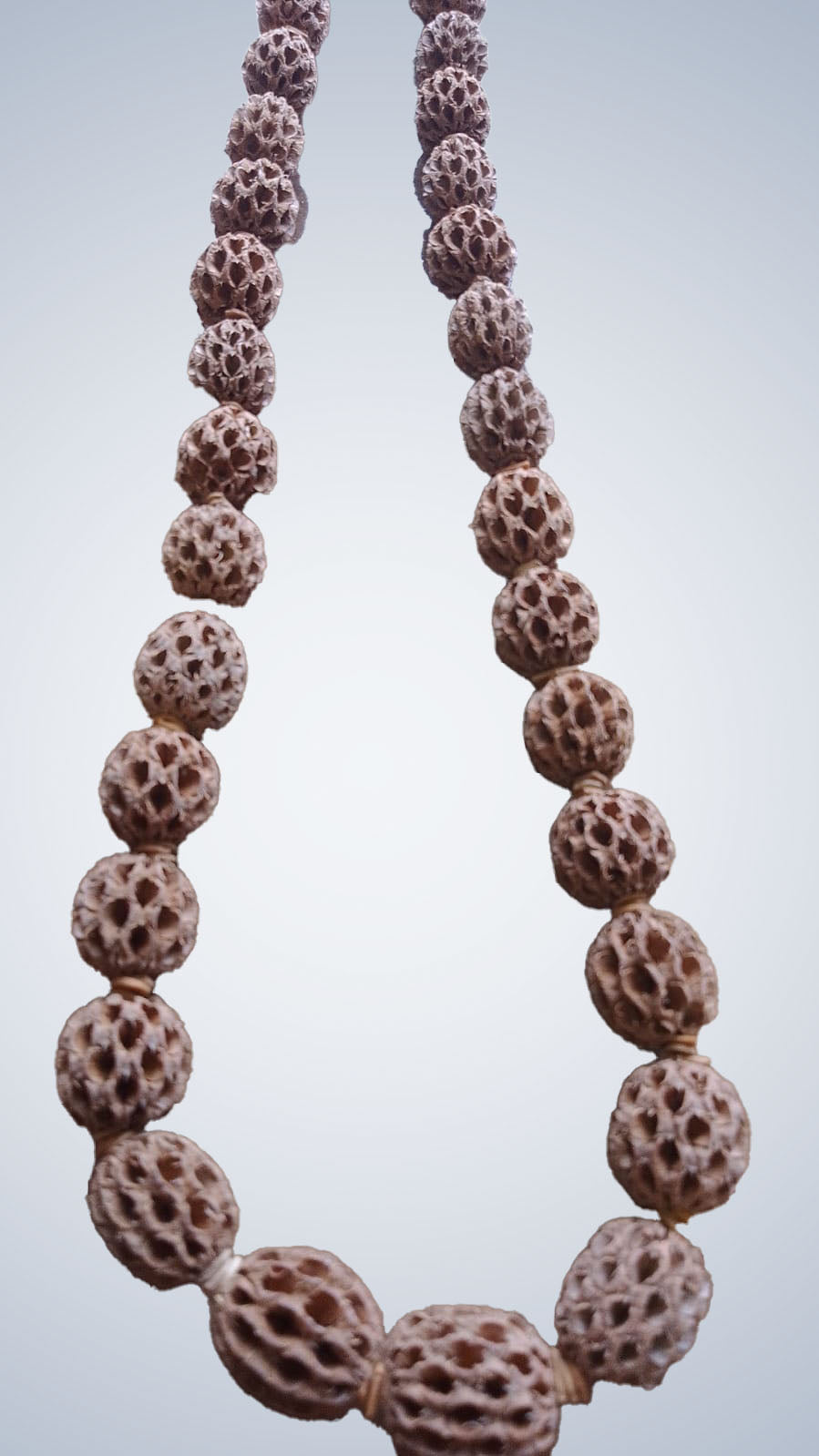Casuarina necklace, 1 round