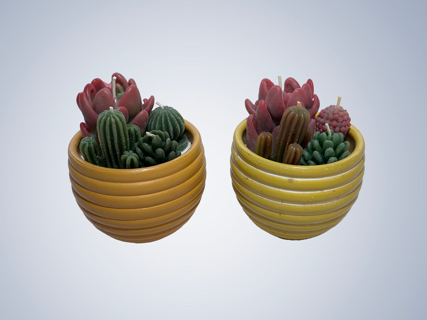 Cachepot com velas cactos