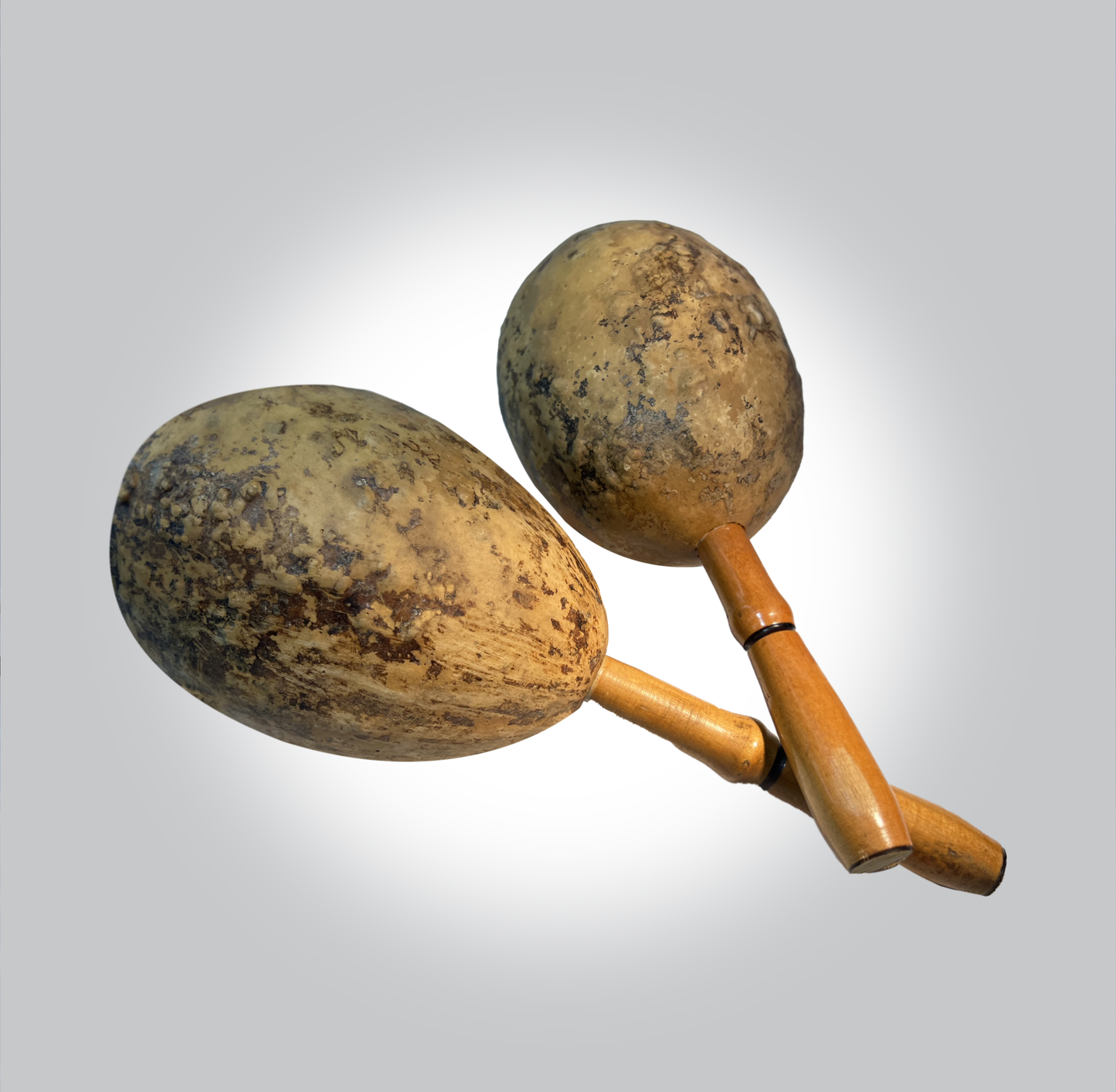 Maraca de caxi